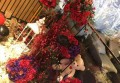 平安驾校女保安招聘条件（平安驾校女性安保人员入职标准）