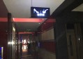 招聘宣导公司文案（创新招聘策略传播：打造企业雇主品牌形象文案）