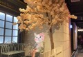 招聘私信留言文案（招聘信息私信撰写指南）