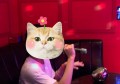 杭州桐庐县旧县街道附近ktv招聘现场DJ,应聘有哪些要求