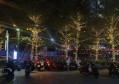 招聘迎宾文案（诚邀宾客接待专员——创意岗位招募）