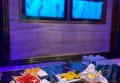 杭州中低档夜总会ktv招聘包厢公主,是上白班还是上夜班